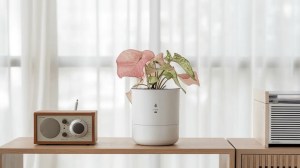 The LeafyPod planter sits on a wood table next to a radio.