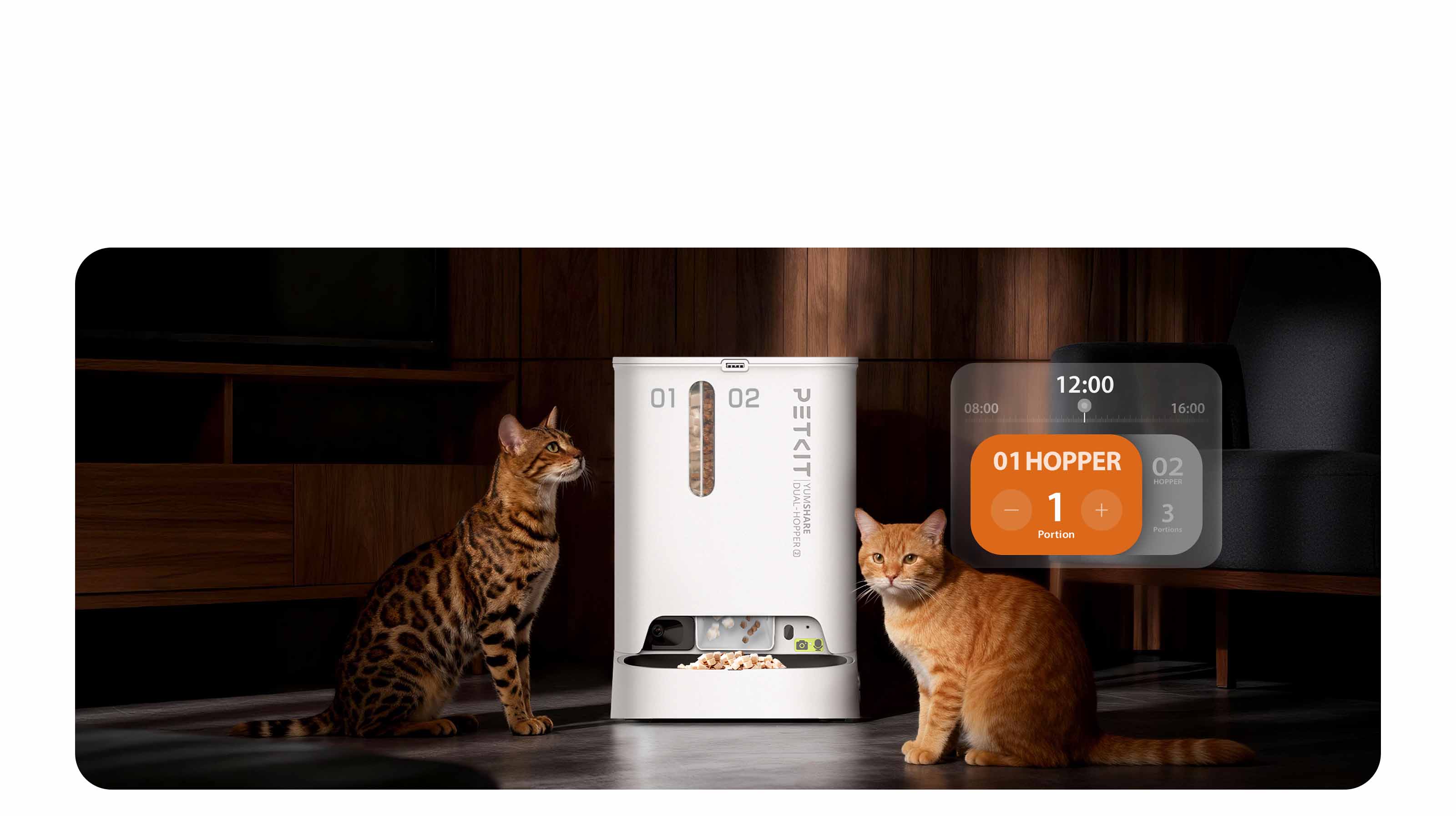 Dual compartments for meals and treats let you serve balanced portions or extra snacks anytime for your cat.