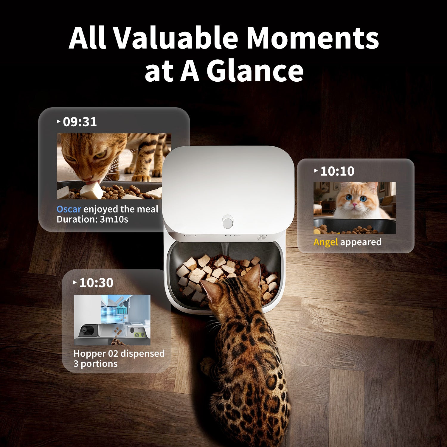 PETKIT YumShare Dual-hopper 2 automatic cat feeder, automatic food dispenser, PETKIT App timeline showing cat activity tracking, feeding videos, and meal records