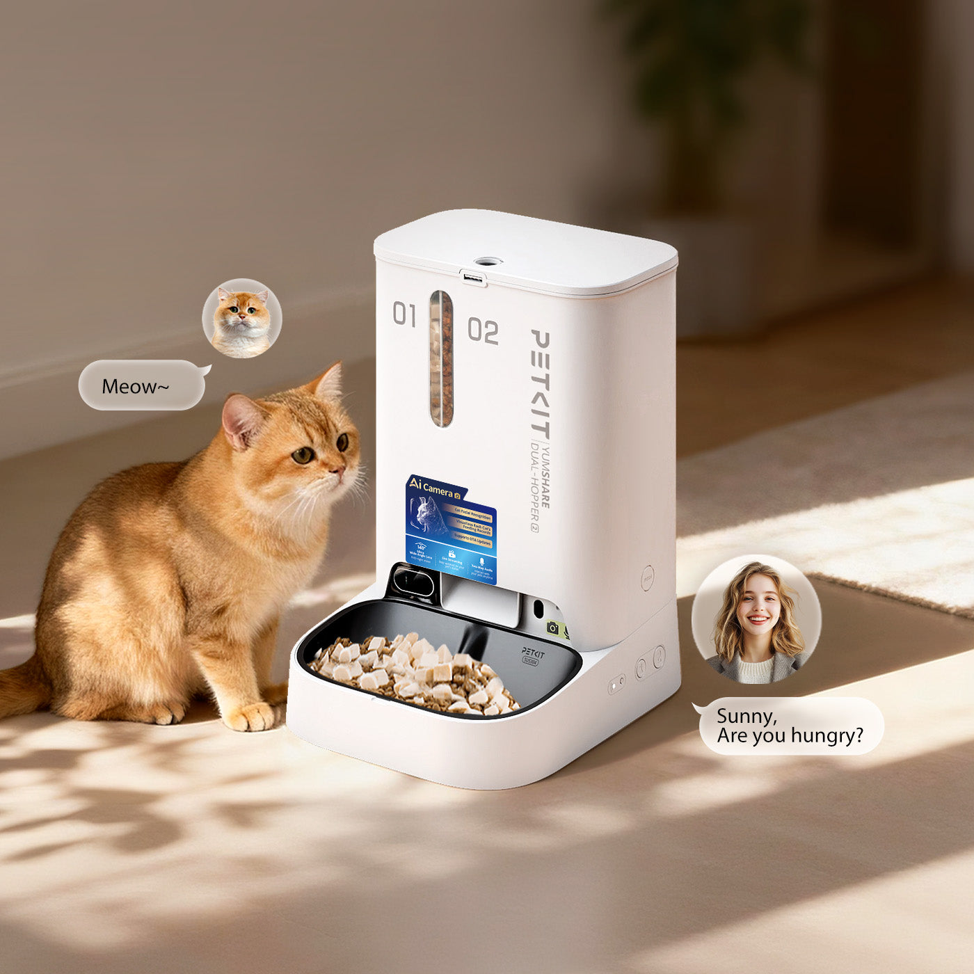 Two-way audio lets you talk to and comfort your pet remotely.
