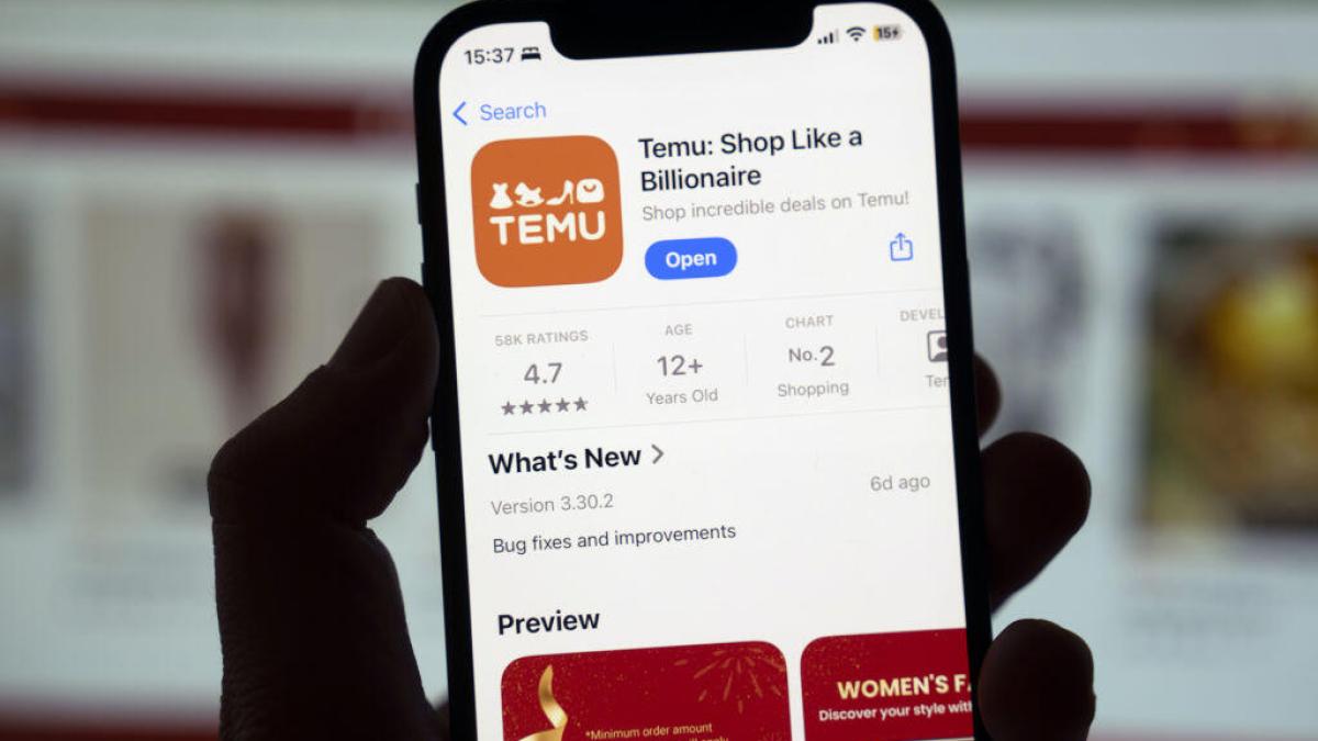 temuapp5gettyimages-2196855808