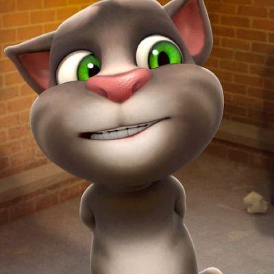 @crazyzhaokk0