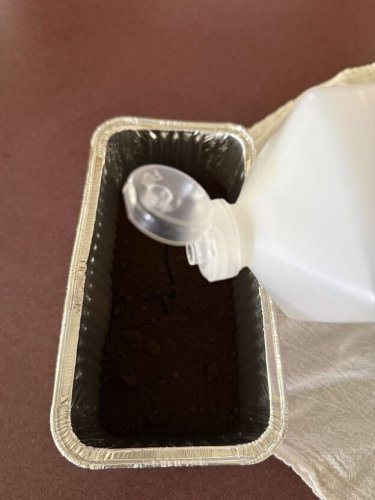 Keep those mosquitoes away naturally with this easy coffee grounds hack