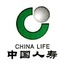 中国人寿九江分公司
