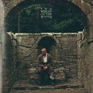 The Weight of the Woods by Dermot Kennedy