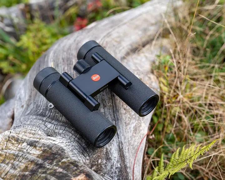 Leica Noctivid Compact showing outdoor on a stone