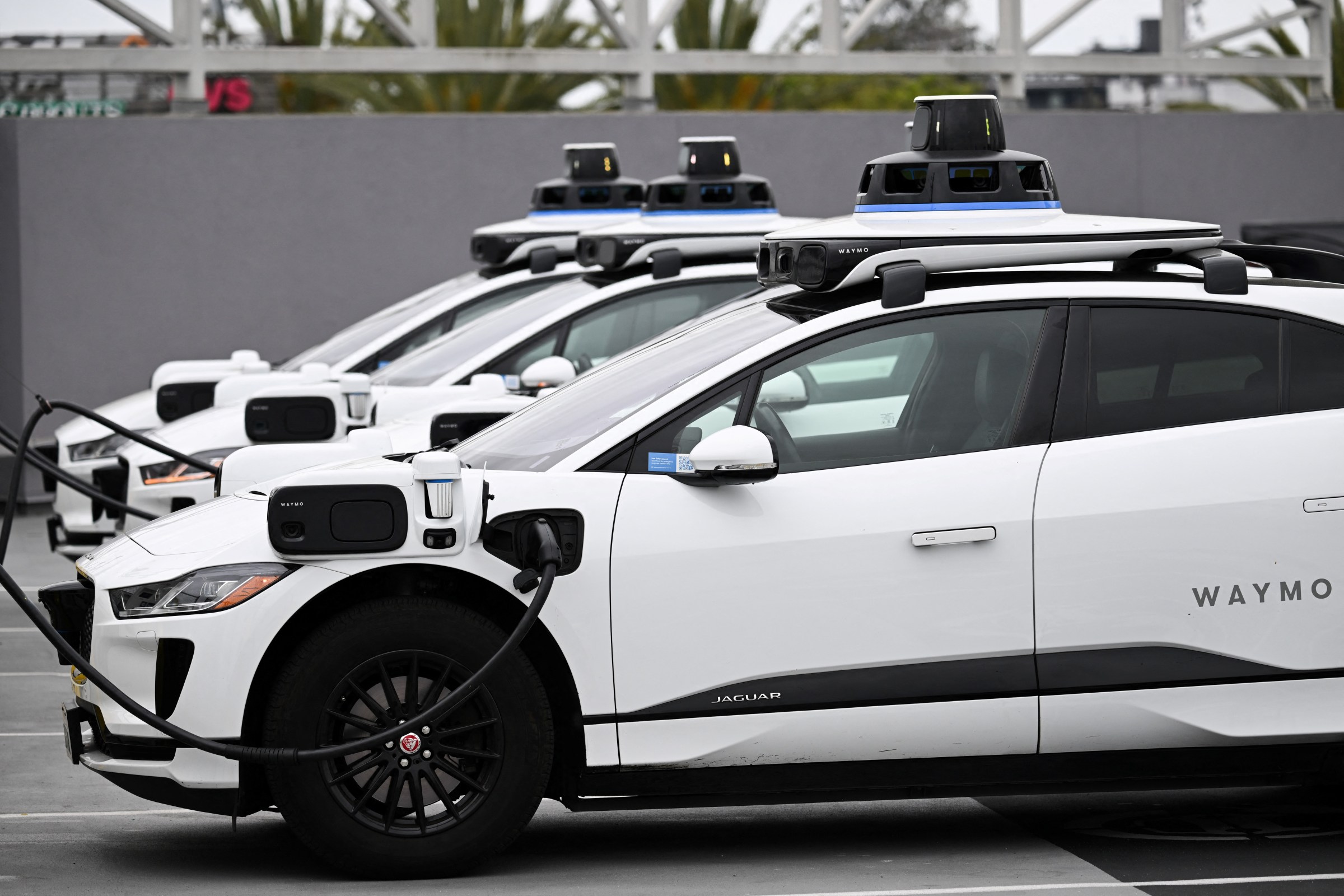 Waymo robotaxis
