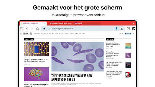 Screenshotafbeelding