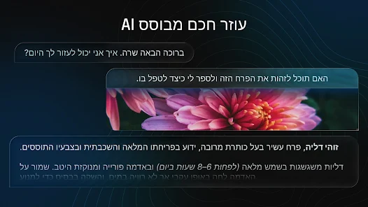 צילום מסך