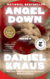 Obraz ikony: Angel Down (Pulitzer Prize Winner): A Novel