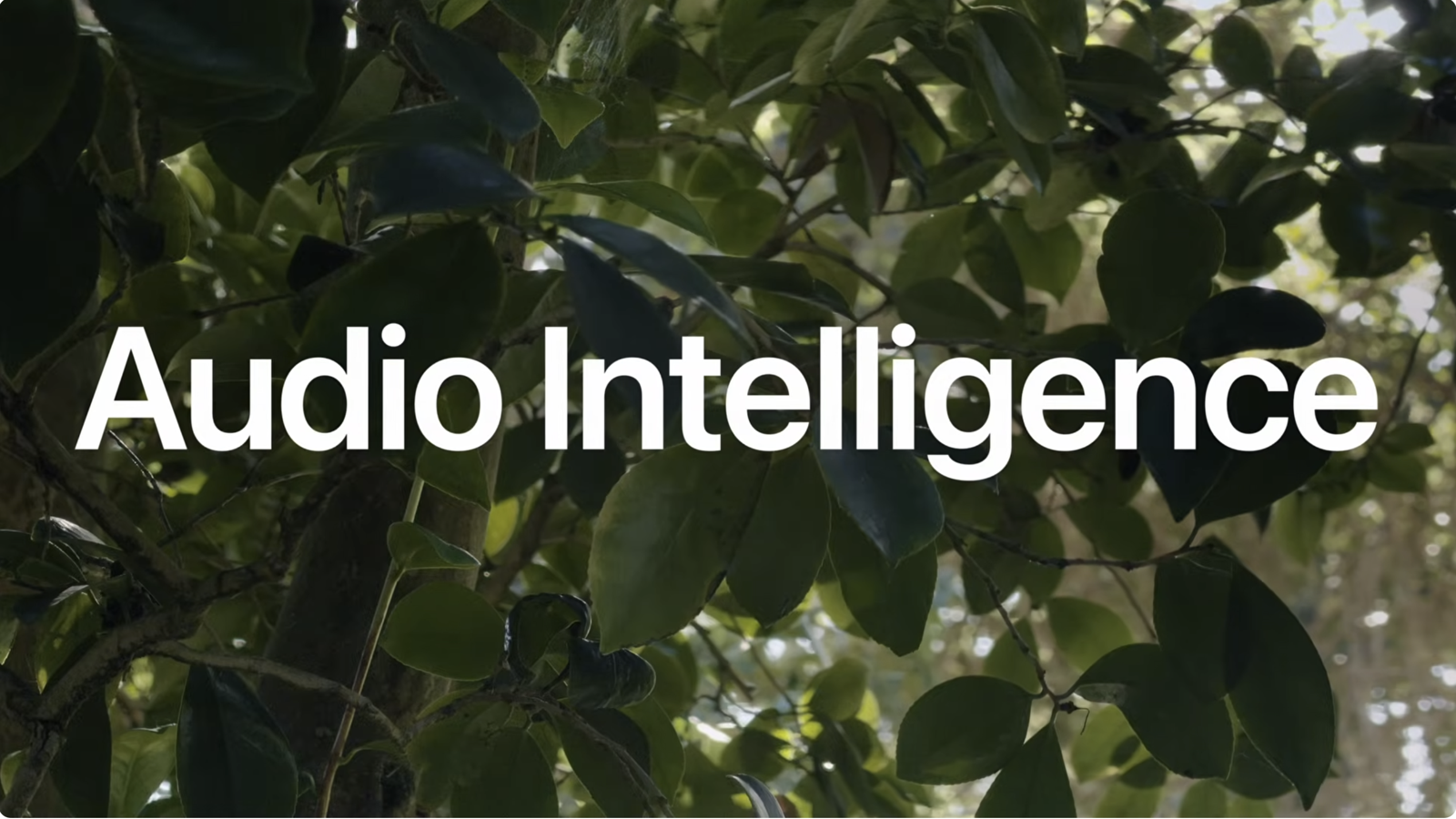 Je vous en supplie, parlez aux gens au lieu d’utiliser Audio Intelligence d’Apple